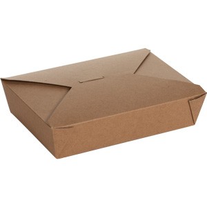 BioPlus EARTH Recycled Food Take Out Container #2,  7 3/4" x 5 1/2" x 1 7/8"