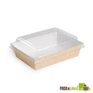 Clear Lid for 210PAN850