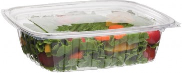 24oz Rectangle Deli Take Out Containers with Lids
