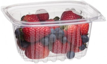 16oz Rectangle Deli Take Out Containers with Lids