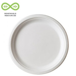 9" Round Take Out Sugarcane Container, Compostable