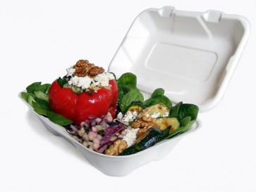 9" x  6" x 3" Biodegradable Bagasse Sandwich Box