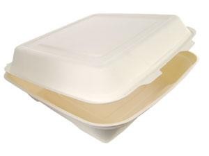 10" x 10" x 3" Bagasse Hinged Take Out Container