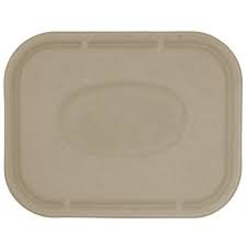 Lid for 8.8 x 6.8 x 3" Unbleached, Compostable Plant Fiber Box