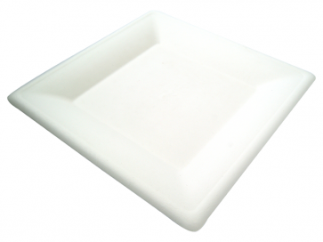 10" Square Bagasse Plate