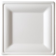 10" Premium Sugarcane Biodegradable Square Plates