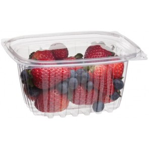 16oz Rectangle Deli Take Out Containers with Lids