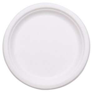 10" Stalkmarket Biodegradable Plates Sugarcane, Compostable, Natural White
