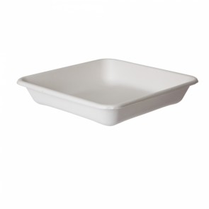 WorldView Sugarcane Take-Out Container - 9" Square