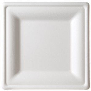 10" Premium Sugarcane Biodegradable Square Plates