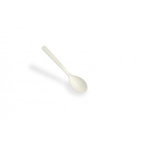 4" CPLA Taster Spoon