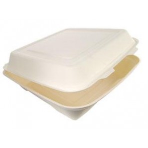 10" x 10" x 3" Bagasse Hinged Take Out Container