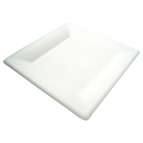 10" Square Bagasse Plate