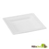 Square White Sugarcane Plate - 6.2 in.