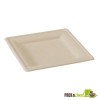 Square Natural Sugarcane Biodegradable Plate - 7.8 x 7.8"