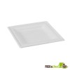 Square White Sugarcane Plate - 10.2 in.