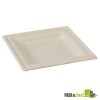 Square Natural Sugarcane Biodegradable Plate - 10.2 x 10.2"