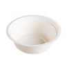 16 oz. Biodegradable Stalk Market Sugarcane Bagasse Bowl
