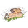EcoProducts Clear PLA Biodegradable Sandwich Container