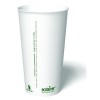 20 oz. Ecotainer Carte Blanc Biodegradable Hot Cup / Coffee Cup, Compostable, White