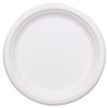 10" Molded Fiber Plates, Compostable, White