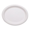 10.5" Oval Stalkmarket Biodegradable Plates / Platters Sugarcane, Compostable, Natural White