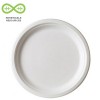 WorldView Sugarcane Take Out Container - 9" Round
