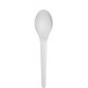Renewable and Compostable Plantware Spoon- 6in