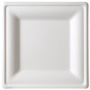 10" Premium Sugarcane Biodegradable Square Plates