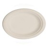 10" x 8" Oval Bagasse Platter