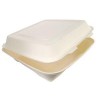 10" x 10" x 3" Bagasse Hinged Take Out Container