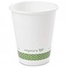 8oz Compostable White Hot Cup 