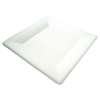 10" Square Bagasse Plate