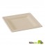 Square Natural Sugarcane Biodegradable Plate - 7.8 x 7/8"