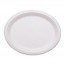 10.5" Oval Stalkmarket Biodegradable Plates / Platters Sugarcane, Compostable, Natural White