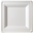 10" Premium Sugarcane Biodegradable Square Plates